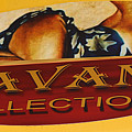 Havana Collection