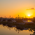 Sunset at Everglades Holiday Park